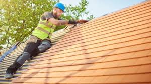 Best Gutter Installation and Repair  in Cactus Flats, AZ